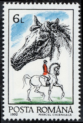 Caballos