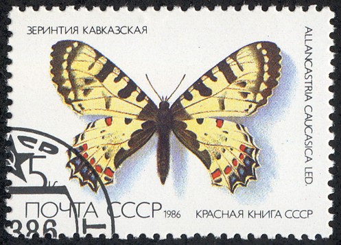 Mariposas