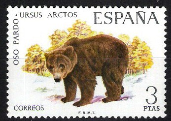 Fauna hispánica. Oso pardo.