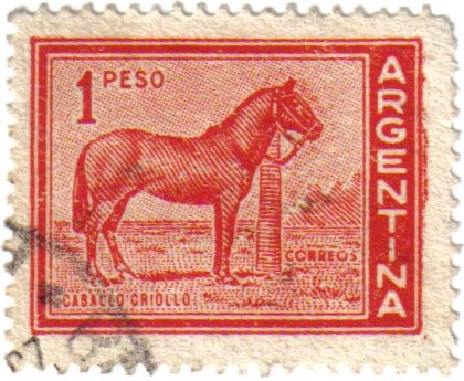 Caballo criollo. Argentina