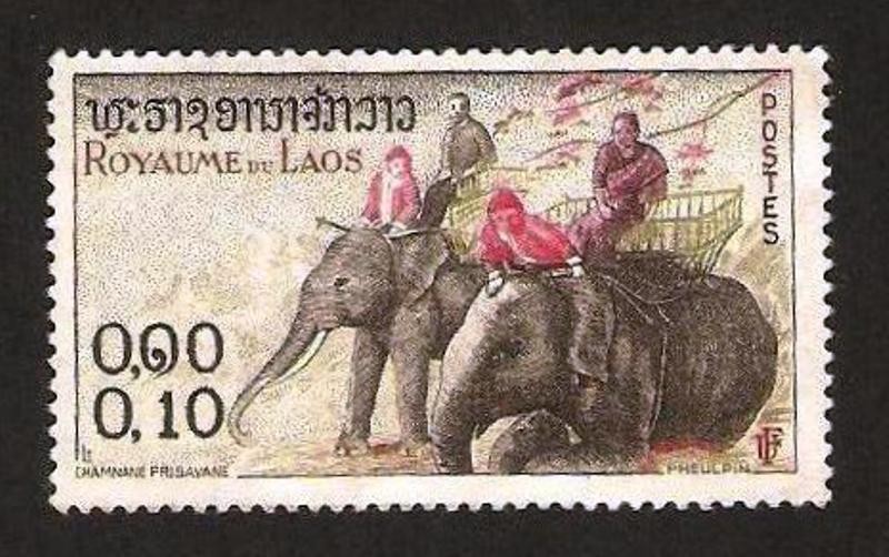 viajando en elefantes
