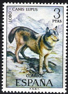 Fauna hispánica. Lobo.