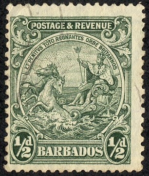Rey y caballos