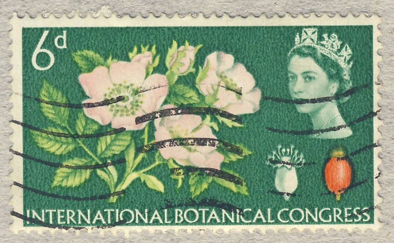 Tenth International Botanical Congress Edinburgh