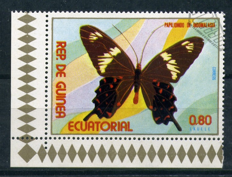 Papilionido de Indomalasia