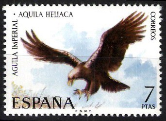 Fauna hispánica. Águila imperial.