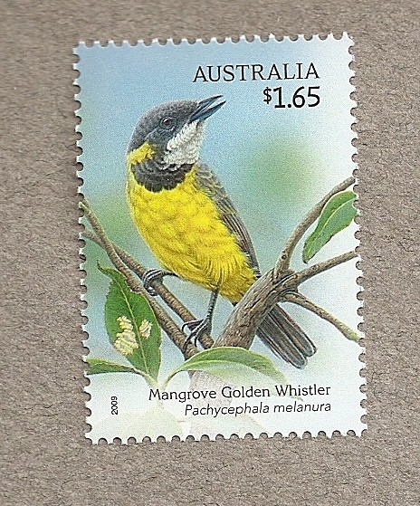 Aves endémicas de Australia