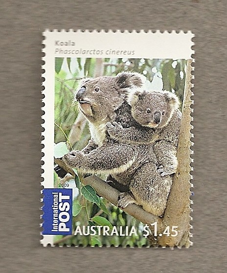 Marsupiales