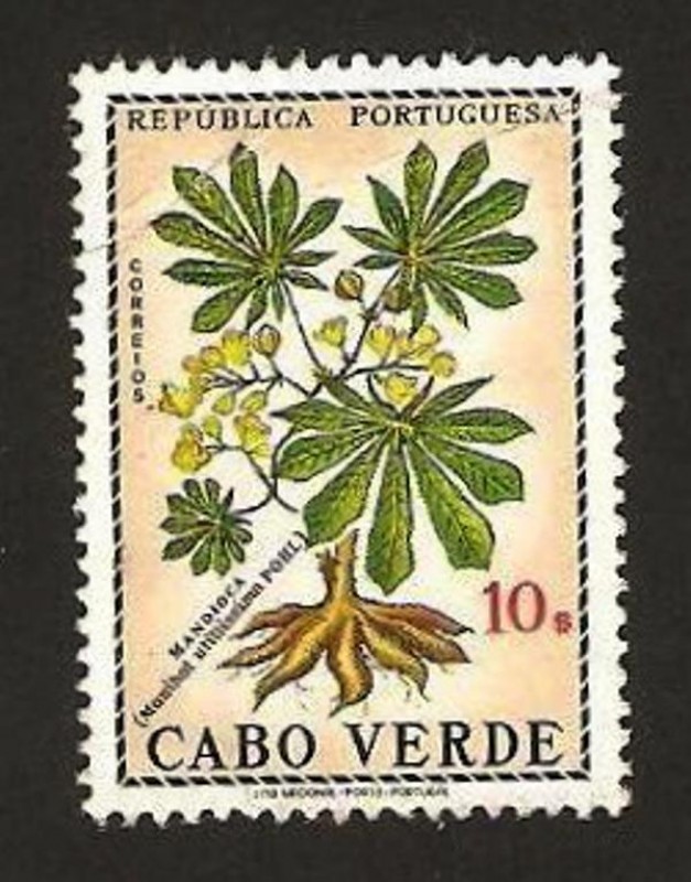 flora, mandioca