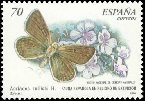 ESPAÑA 2000 3695 Sello Nuevo Fauna Española en Peligro de Extincion Mariposa Agriades Zullichi H.