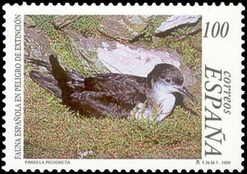 ESPAÑA 1999 3616 Sello Nuevo Fauna Española en Peligro de Extincion Pardela Pichoneta