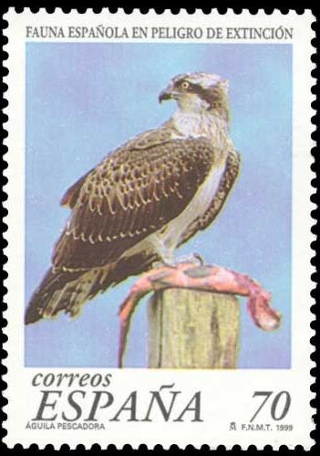 ESPAÑA 1999 3615 Sello Nuevo Fauna Española en Peligro de Extincion Aguila Pescadora