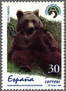 ESPAÑA 1996 3412 Sello Nuevo Fauna en Peligro de Extinción Oso Pardo Ursus Arctos