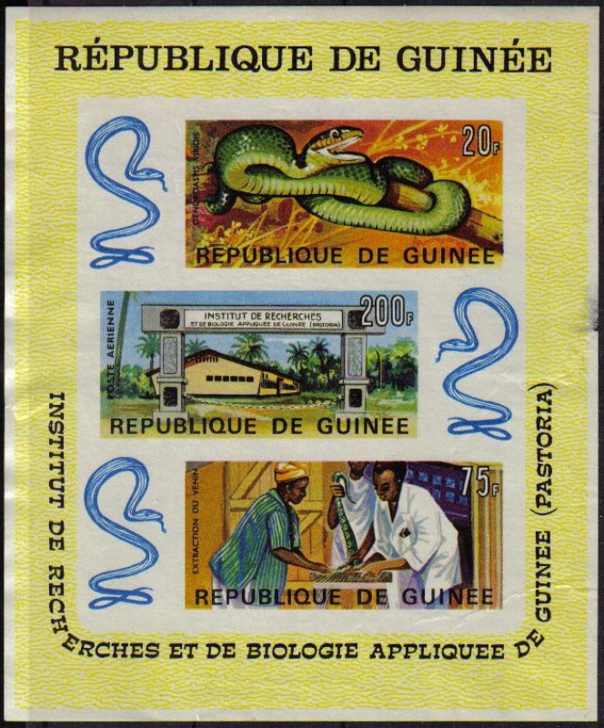 Republica de Guinea 1967 Scott B24 Sello Nuevo Reptiles Serpientes Snake Research sin dentar ni goma