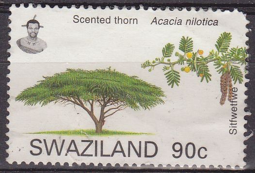 SWAZILAND Sello Serie Arboles. Acacia usado