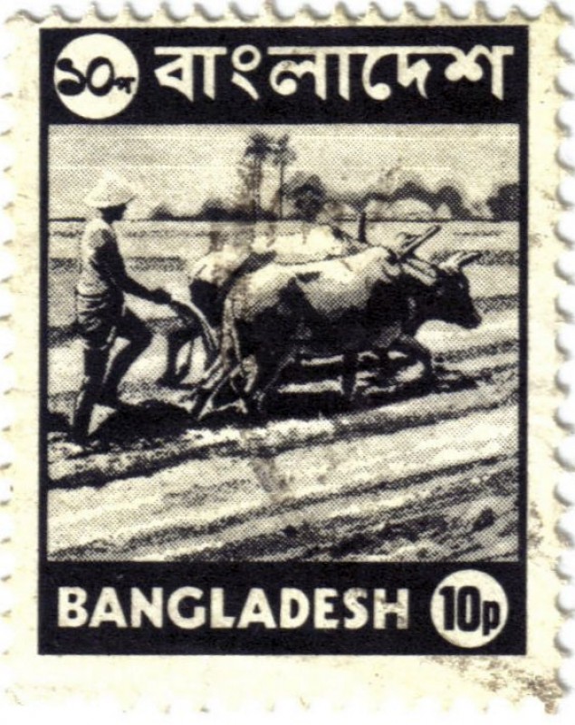 La agricultura de Bangladesh