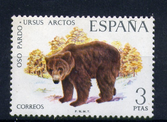 Oso pardo