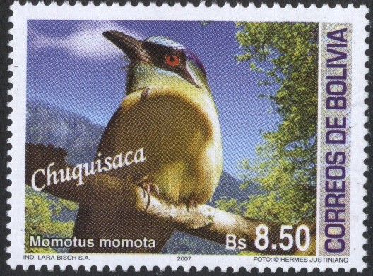 Aves de Bolivia - Chuquisaca
