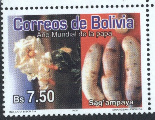Año Mundial de la Papa