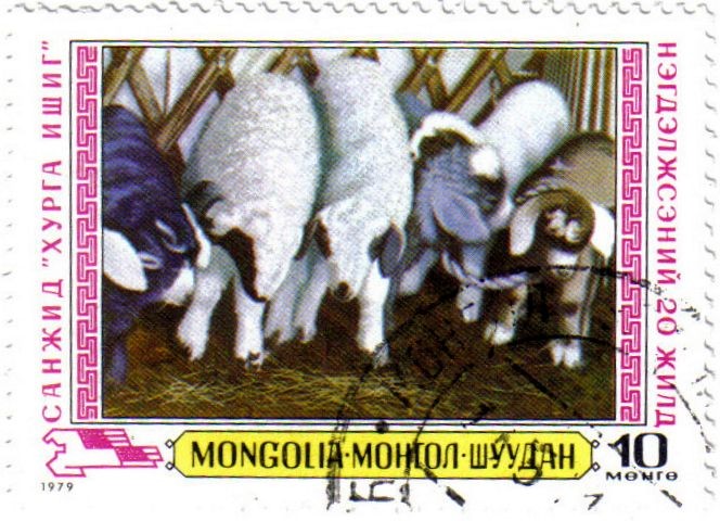 Ovejas de Mongolia