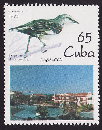 Cayo Coco (Sinsonte)