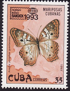 Mariposas Cubanas