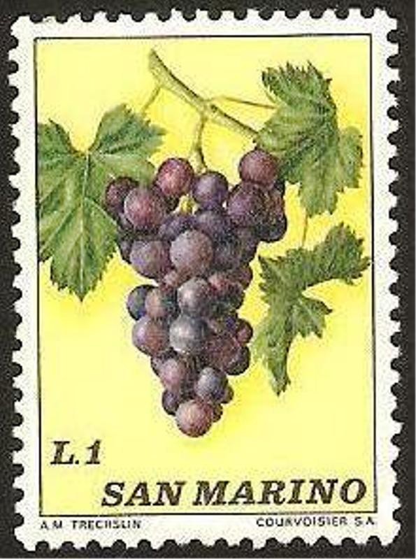 Racimo de uvas