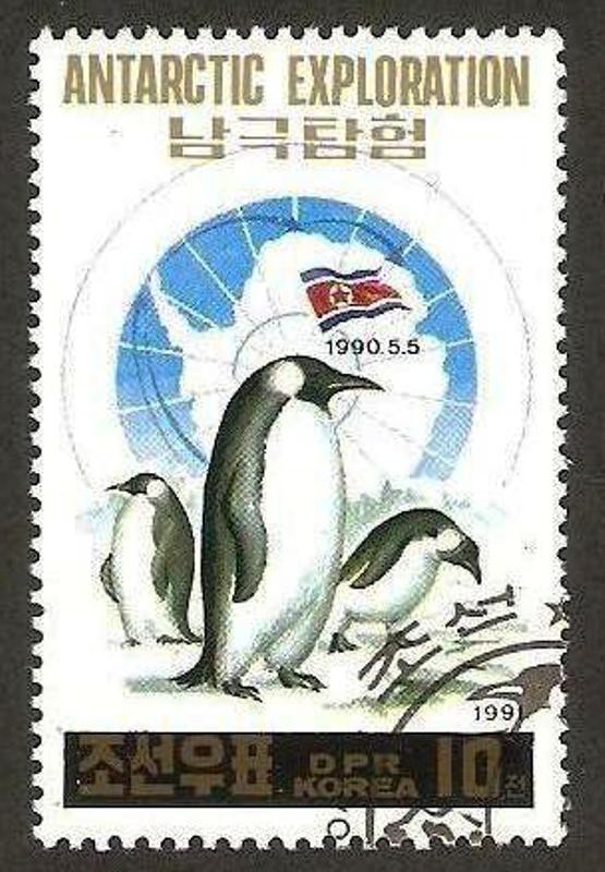 expedicion a la antartida, pinguinos