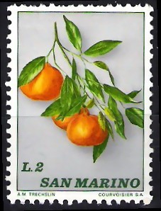 Frutos. Naranjas.