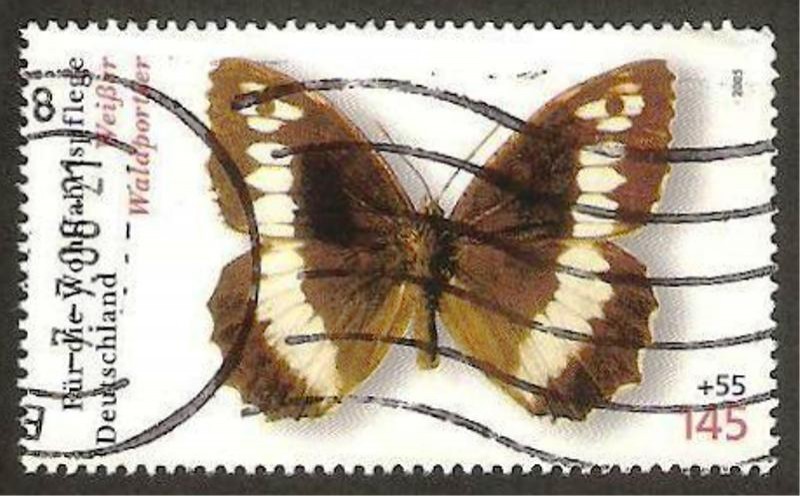 mariposa