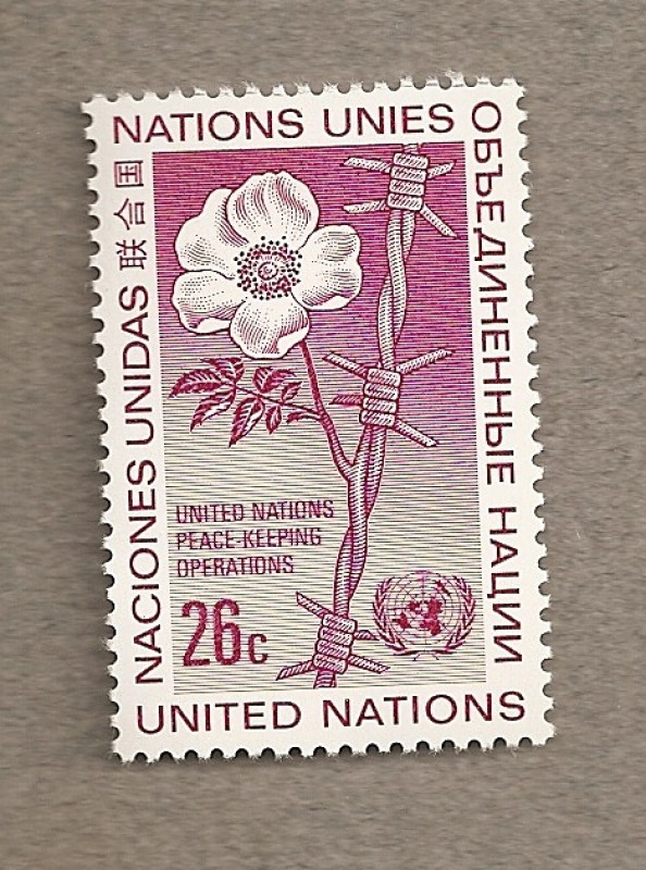 Misiones de paz ONU