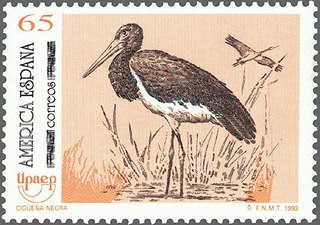 ESPAÑA 1993 3270 Sello Nuevo América-UPAEP Aves en peligro de extinción Cigüeña Negra
