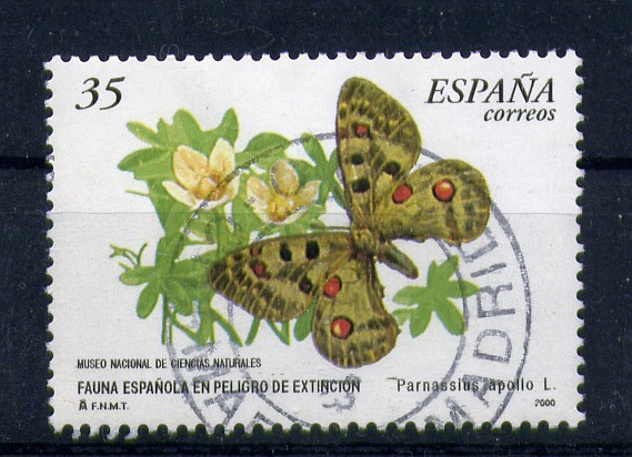 Fauna española en peligro de extinción
