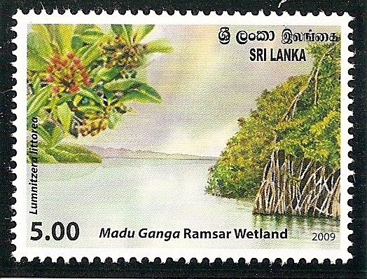 Manglar Madu Ganga