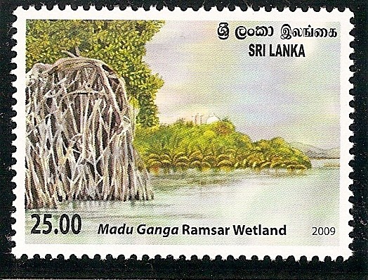 Manglar Madu Ganga