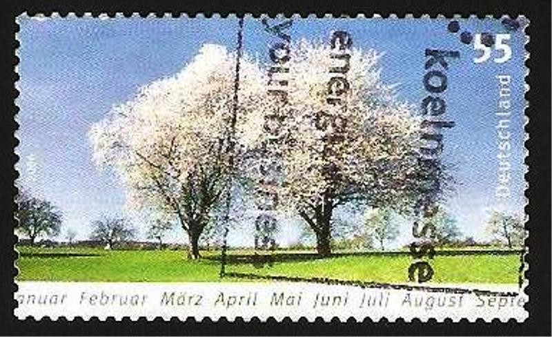 2400 - Estacion del año, Primavera, Cerezos en flor