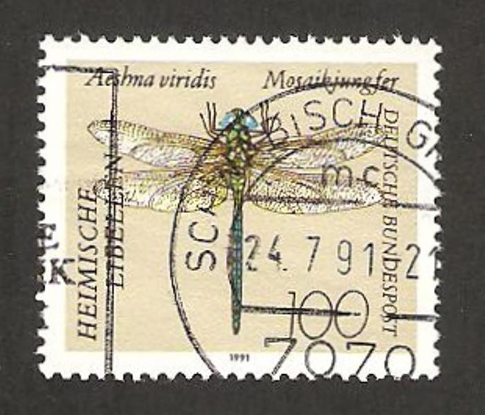 libélula, aeshna viridis