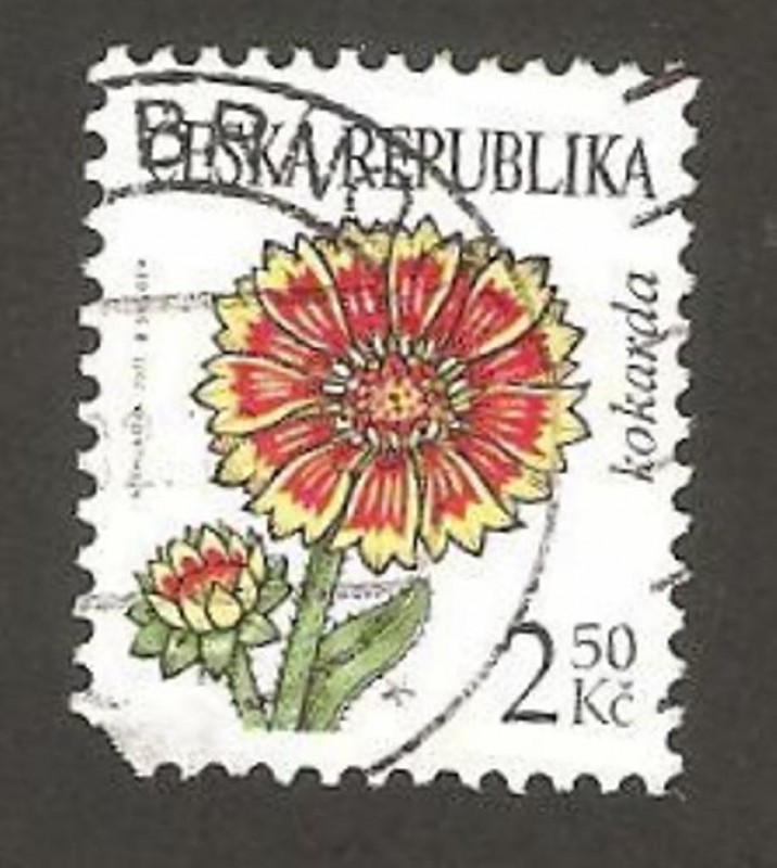 flora, kokarda