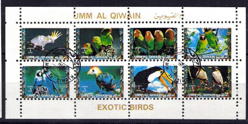 UMM AL QIWAIN. Pájaros exóticos.
