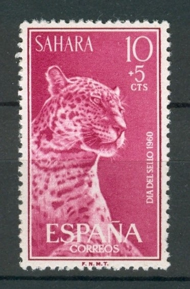 Leopardo