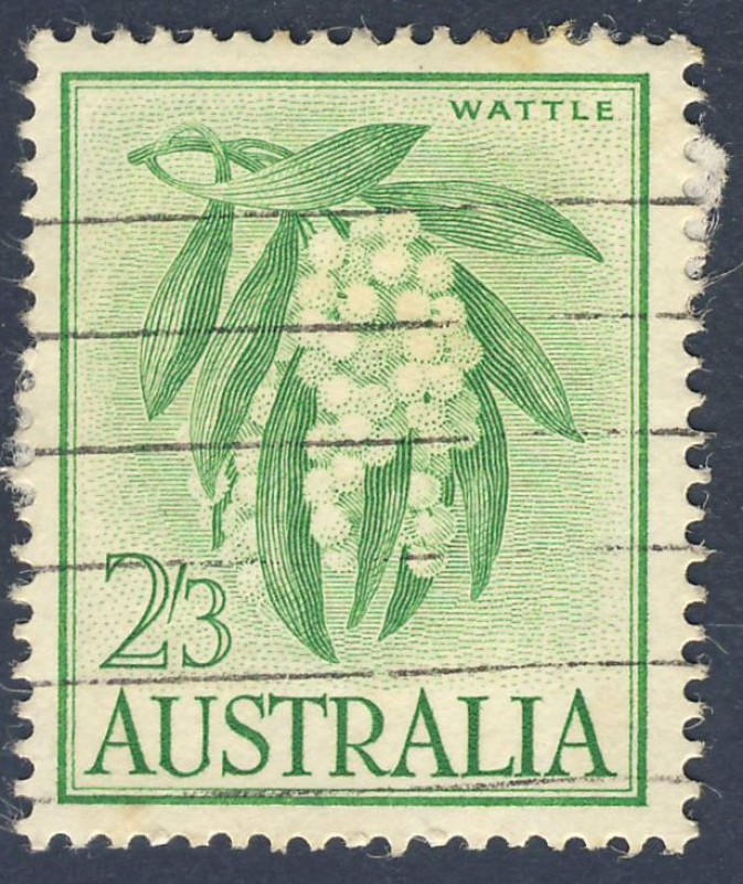 Wattle