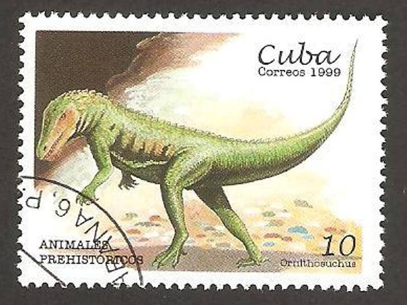 animal prehistórico, ornithosuchus