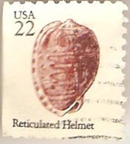 Reticularted helmet (USA)