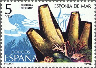 ESPAÑA 1979 2531 Sello Nuevo Fauna Invertebrados Esponja de Mar 5p