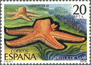 ESPAÑA 1979 2534 Sello Nuevo Fauna Invertebrados Estrella de Mar 20p