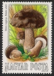Stamps Hungary -  SETAS-HONGOS: 1.164.002,00-Boletus edulis