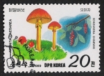 Stamps North Korea -  SETAS-HONGOS: 1.205.042,00-Amanita caesarea