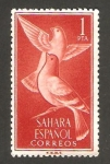 Stamps Morocco -  Sahara - Paloma bravía