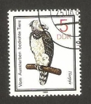 Stamps Germany -  ave, harpia harpyja