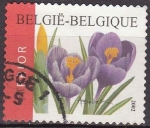 Stamps Belgium -  BELGICA 2002 Scott 1937 Sello Flores Crocuses Usado Michel 3191